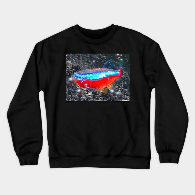 Neon Tetra Crewneck Sweatshirt by danieljanda